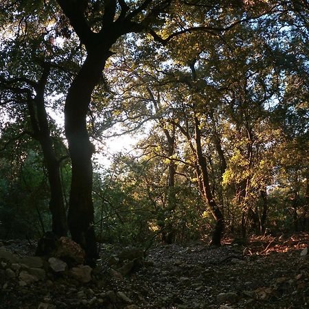 Appartamento A Pula In Zona Residenziale Exteriér fotografie