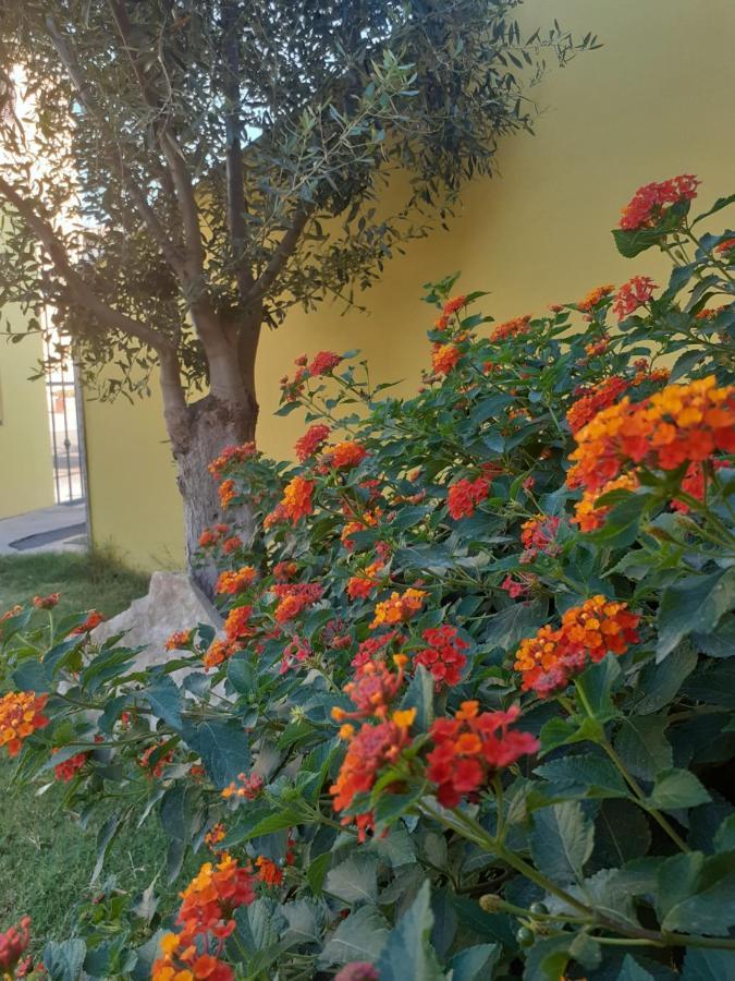 Appartamento A Pula In Zona Residenziale Exteriér fotografie