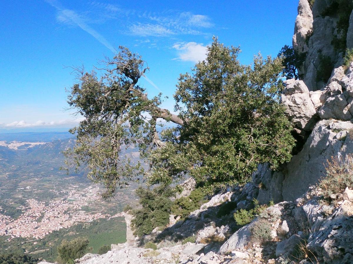 Appartamento A Pula In Zona Residenziale Exteriér fotografie