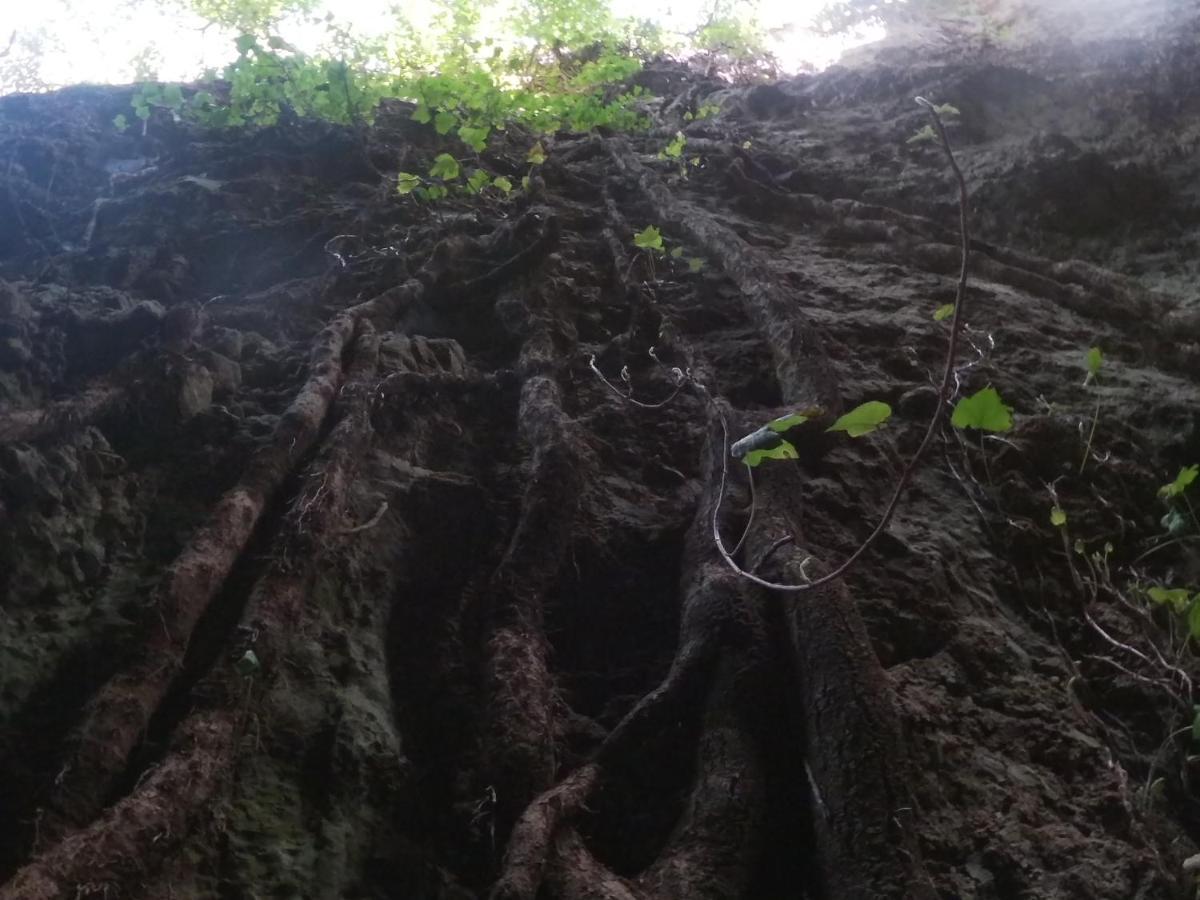 Appartamento A Pula In Zona Residenziale Exteriér fotografie